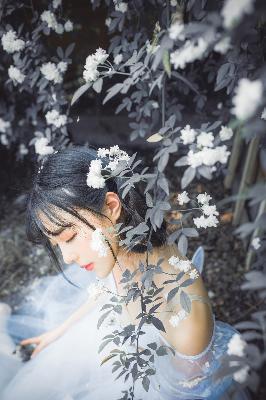 唐朝诡事录之西行