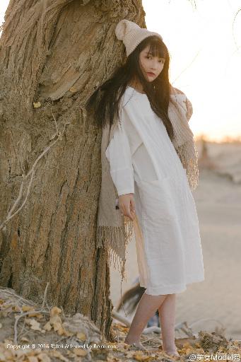 美女免费高清版电视剧在线播放