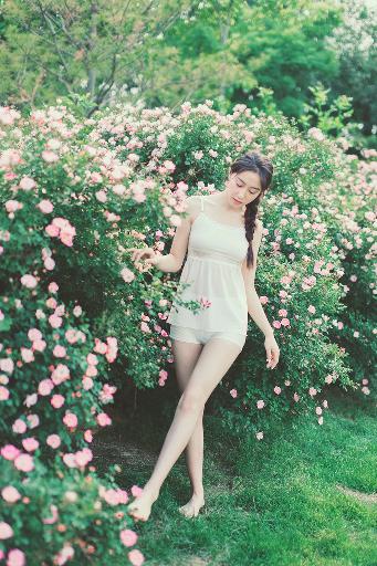 锦绣芳华 电视剧