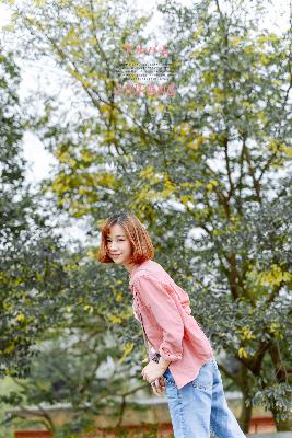 办公室3在线观看免费版电视剧大全