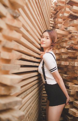 青青河边草下一句