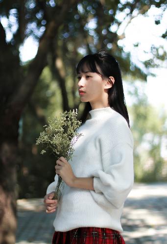 平凡的世界电视剧免费观看