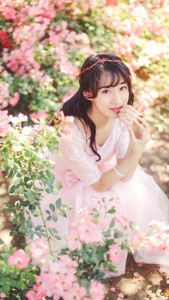 半是蜜糖半是伤免费观看全集完整版