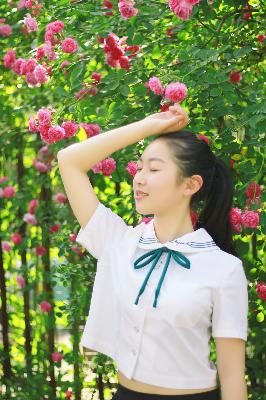 不眠日电视剧免费观看全集高清