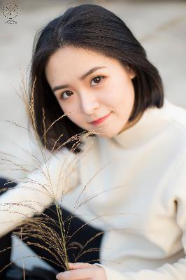 中文在线观看免费观看电视剧全集