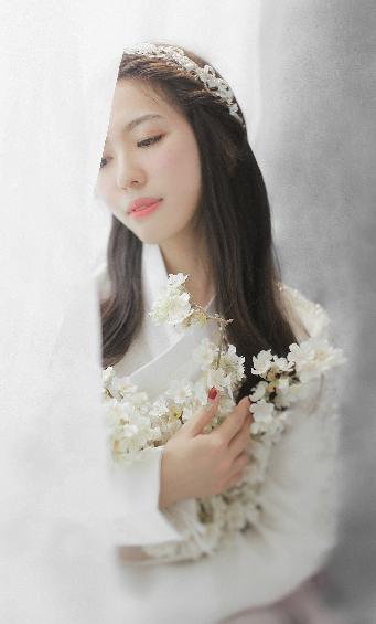 我的阿勒泰电视剧免费观看