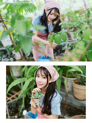 完美世界全集免费观看